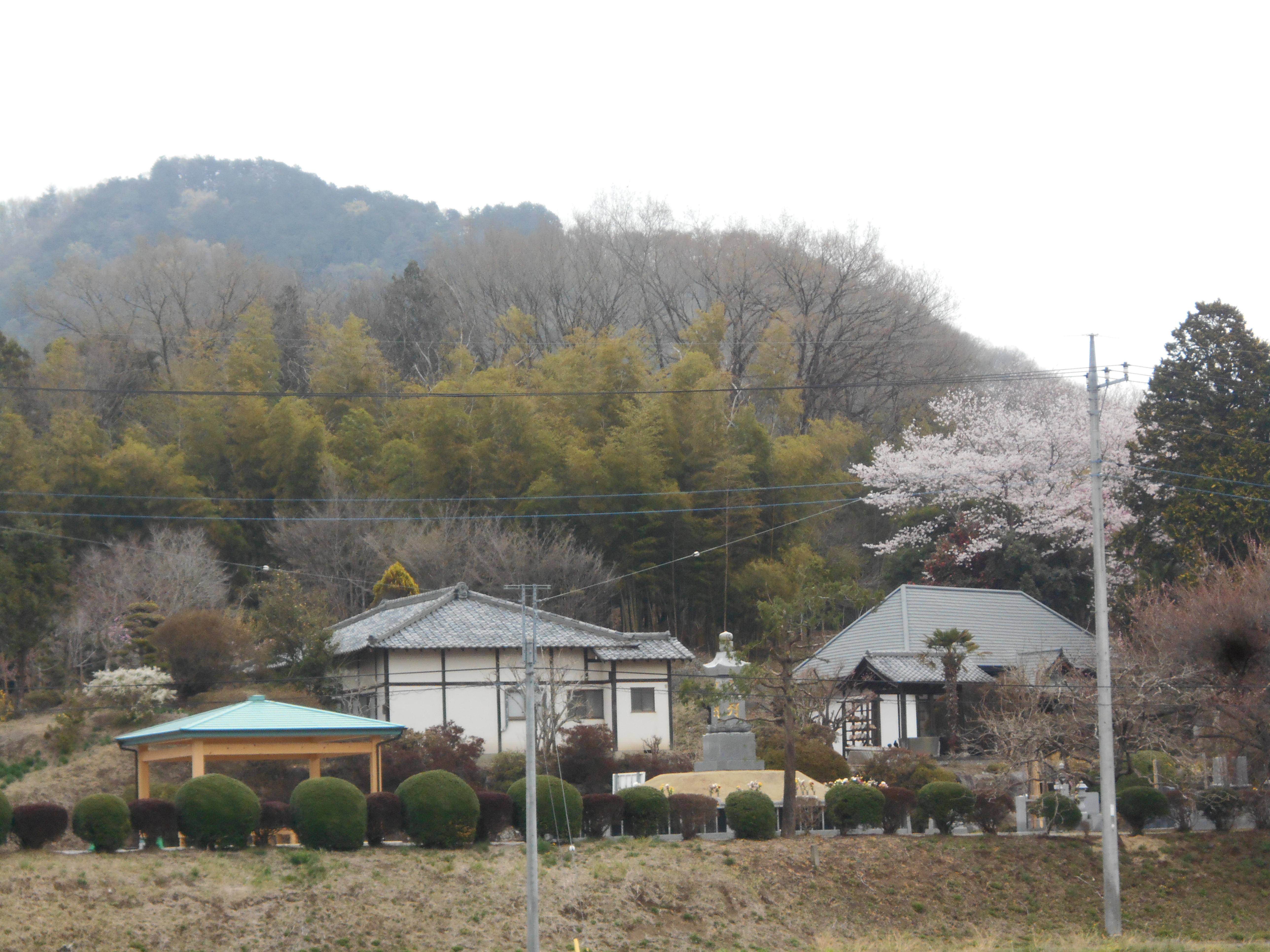 栃木県佐野市正光寺　冬の風景