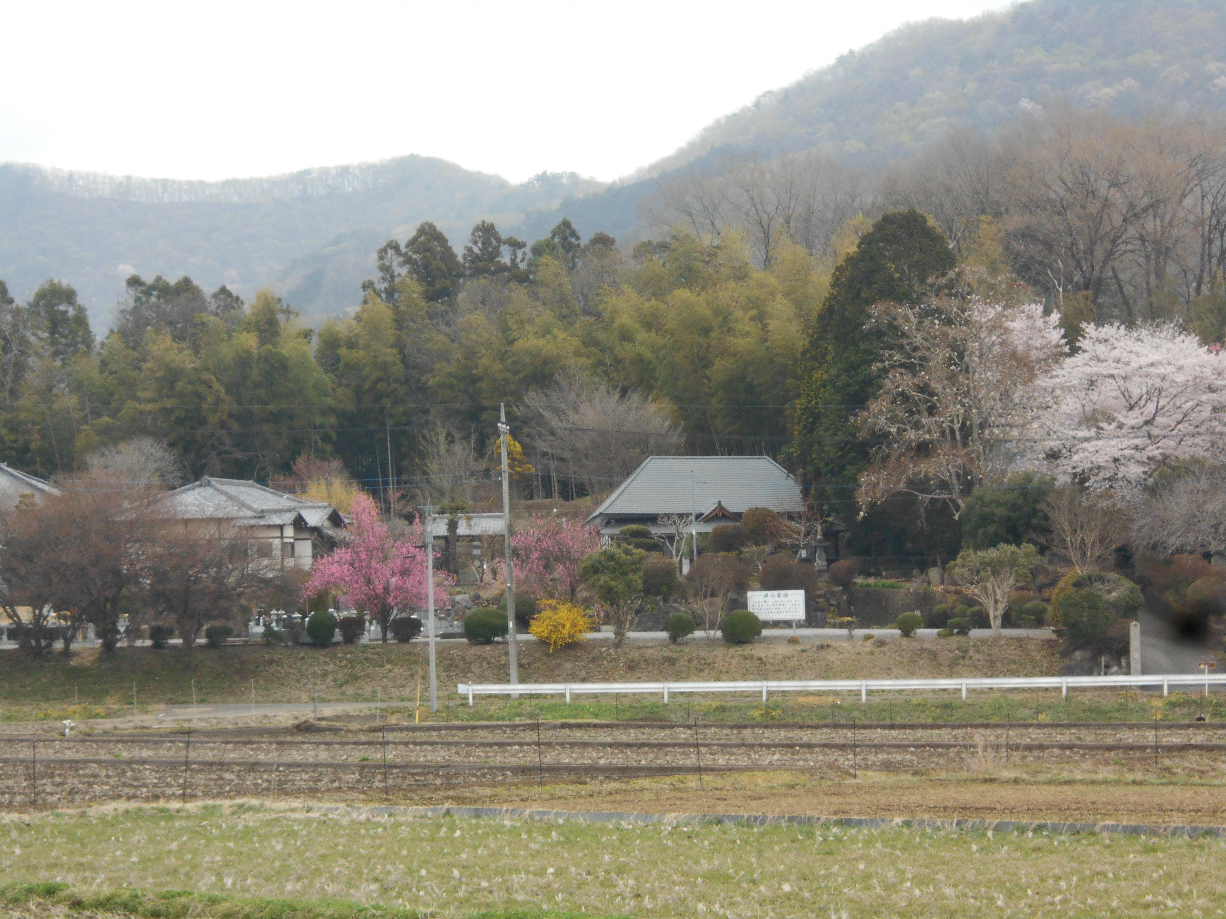 栃木県佐野市正光寺　冬の風景